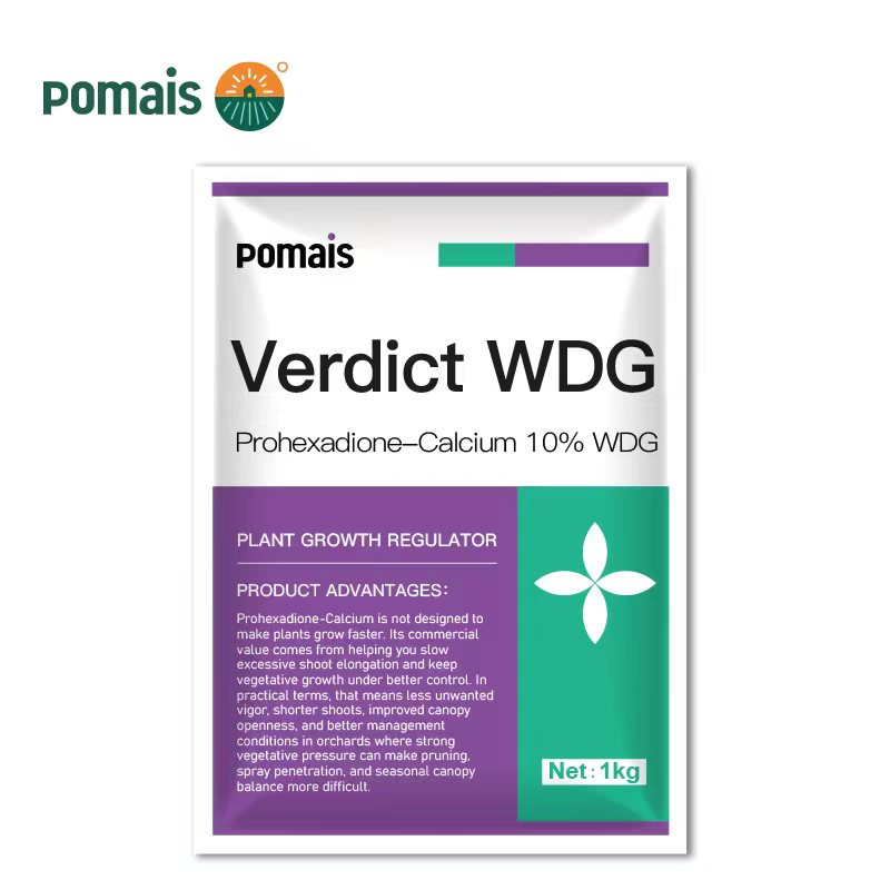 Prohexadione Calcium Plant Growth Regulator